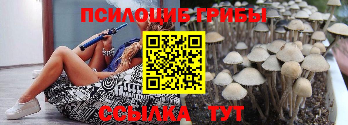 дарнет шоп  Псилоцибиновые грибы Magic Shrooms  Кандалакша  Вход с VPN  Псилоцибиновые грибы Psilocybe 