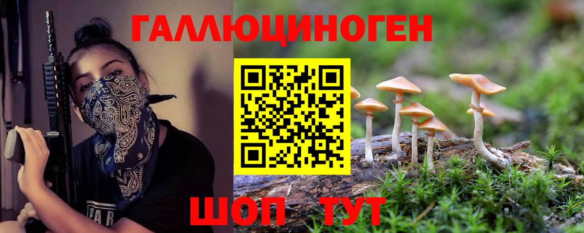 Галлюциногенные грибы прущие грибы Кандалакша